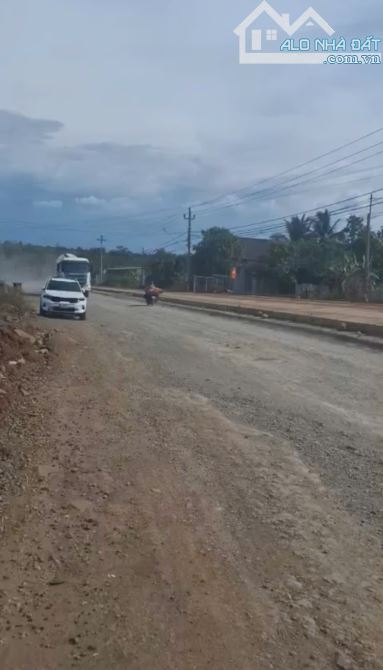 Đất mặt tiền TL1 thôn 9 xã Tân Hoà Buôn Đôn - 1