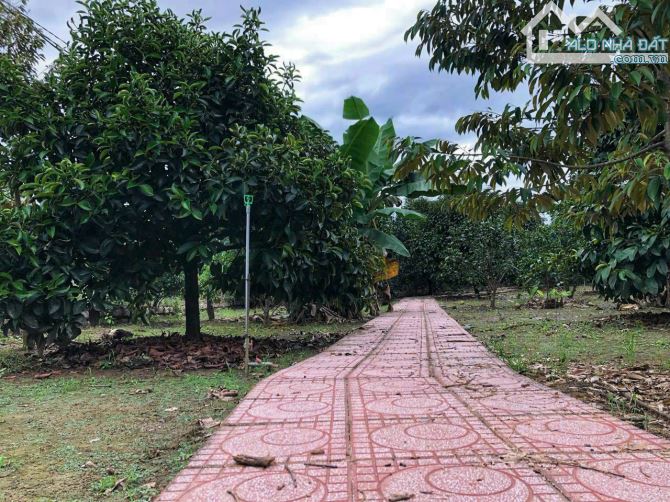 bán nhà vườn tâm huyết đường ô tô vào đến đất - 1