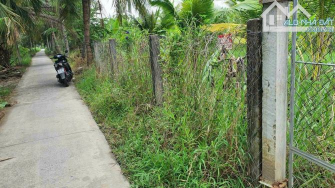 🌳 Cần chuyển nhượng lại căn nhà , đất góc 2 mặt tiền đường Trương Văn Kỉnh nối dài. - 1