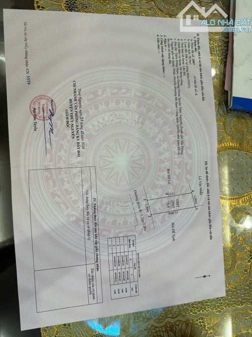 Bán lô đất 79m2 thôn Đông Nam, phường Dương Quan vị trí cực đẹp cho nhà đầu tư - 1