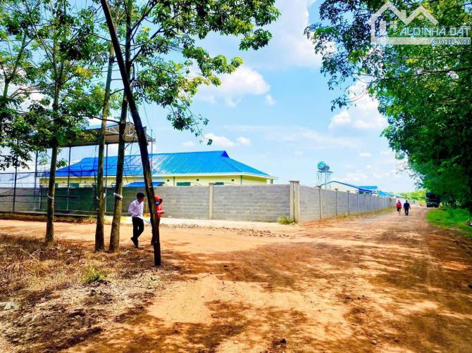 HÀNG NGỢP BÁN GẤP LÔ ĐẤT CHÍNH CHỦ ,DT 2000M2, GIÁ 450TR, SHR, SÁT QL13, GẦN CHỢ - 1