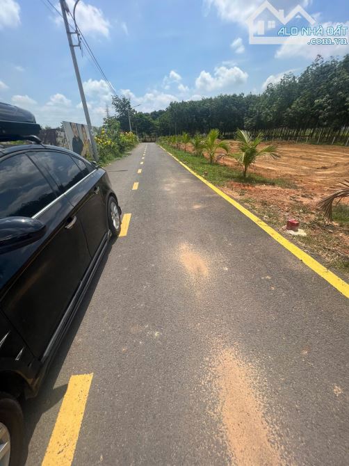 BÁN NHANH LÔ ĐẤT THỔ CƯ GIÁ RẺ – 200m² TẠI TÂN ĐỊNH, BẾN CÁT – VỊ TRÍ ĐẸP, SỔ RIÊNG, ĐẦU T - 1