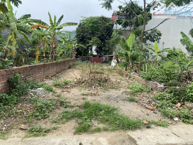 Bán 133,6m2 vị trí vàng tại Tiến Xuân, Thạch Thất, Hà Nội - 1