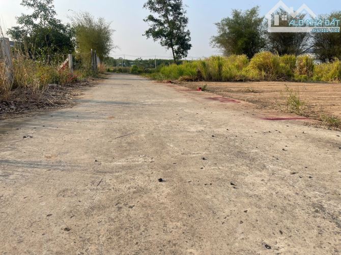 Bán 254m2 đất thổ cư Phước Long Thọ,Đất Đỏ,Bà Rịa Vũng Tàu chỉ hơn 800 triệu - 1