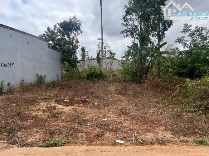Đất nông nghiệp hẻm 41 Nguyễn Trường Tộ QH ODT chỉ 320 triệu - 1