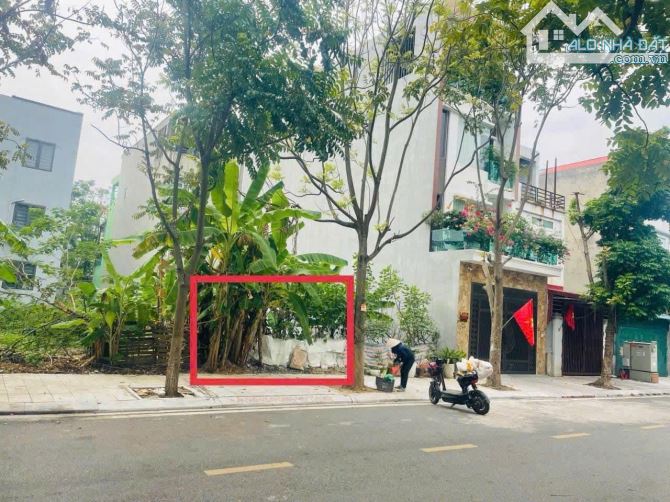 Bán 95m2 đất khu dân cư Tỉnh Uỷ đường Thi Sách, Vĩnh yên🌹 - 1
