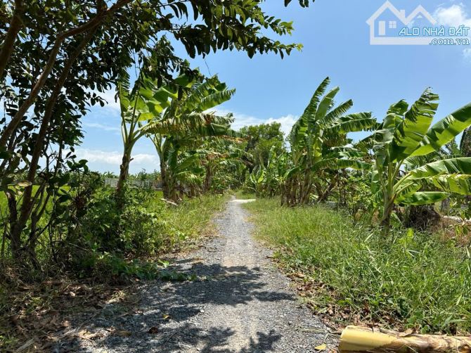 Bán Đất 60x20/25 Kênh 3, Phường 9, Sau Lưng Đại Học Trà Vinh - 1
