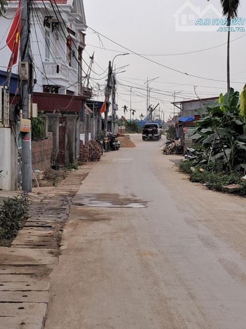 🌟 BÁN LÔ ĐẤT ĐẸP – TRUNG TÂM PHƯỜNG HOA ĐỘNG, THỦY NGUYÊN 🌟 - 1