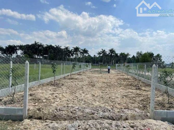 Cần bán gấp lô đất đường nhựa đường Hồ Văn Lắng, Tân Phú Trung, 510m2 - 1