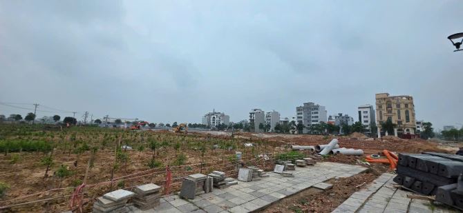✨️ BÁN GẤP ĐẤT ĐẤU GIÁ VƯỜN ĐÀO  ĐÔNG ANH VỊ TRÍ ĐẮC ĐỊA KINH DOANH ĐỈNH CAO SÁT HỒ SINH - 1