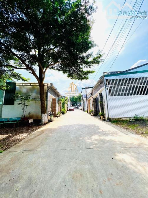 🏡 BÁN NHÀ CẤP 4 HẺM 151 Y MOAN – PHƯỜNG TÂN LỢI – DT 5x26m - TC 60m2 - HƯỚNG NAM - 1