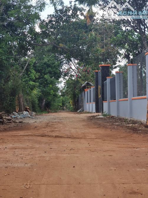 Đất hẻm Nguyễn Xuân Nguyên Eanao A sau trường Ngô Mây - 1