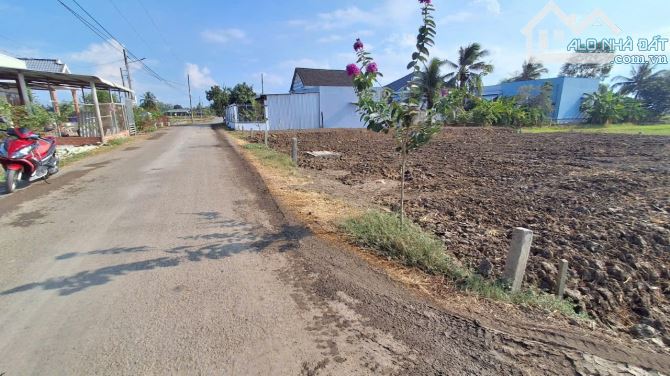 💎 MẶT TIỀN NHỰA NGUYỄN THỊ LẦU. NỀN CAO RÁO CÁCH TỈNH LỘ 833B CHỈ 200M - 1