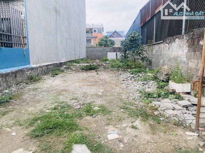 Mrs Tâm bán đất mặt đường Cam Lộ, Hùng Vương, Hồng Bàng, Hải Phòng. 115m2- 3,8 tỷ - 1