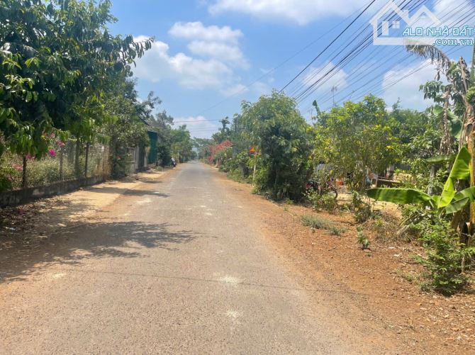 GÓC BÁN ĐẤT - TẶNG NHÀ GIÁ RẺ NHỨC NHỐI - ĐƯỜNG NHỰA, KINH DOANH TẠP HOÁ OK - 1