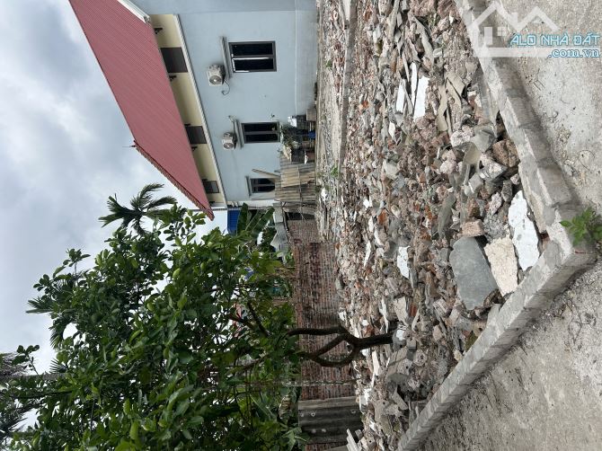 🎉🎉🎉 Lô đất vuông vắn tại thôn Hầu phường Hoàng Lâm ( Lâm Động cũ ) , ngay trục vào 30m - 1