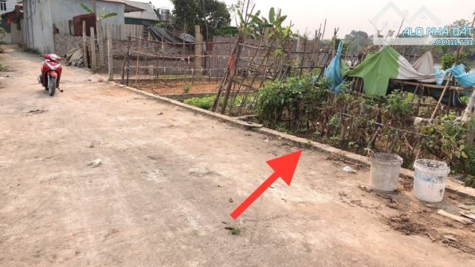 CỔ LOA DIỆN TÍCH NHỎ XINH VUÔNG VẮN, GẦN ĐƯỜNG LIÊN XÃ, TIỆN ÍCH BẠT NGÀN - 1