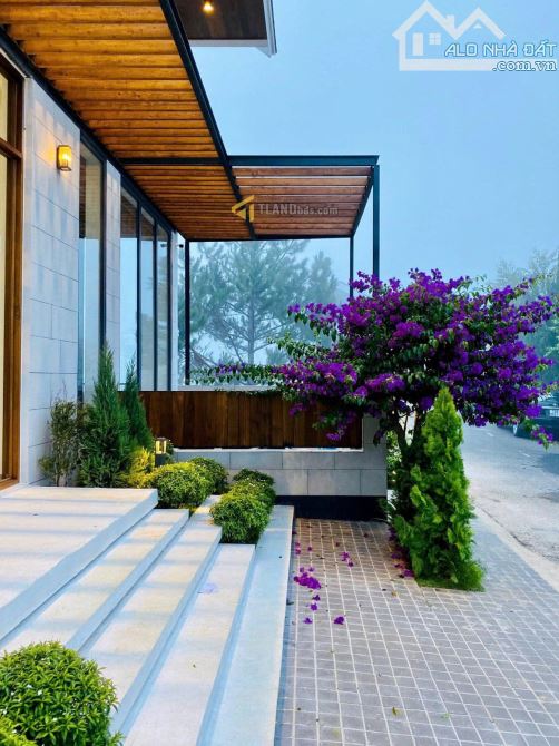 🏨【BÁN KHÁCH SẠN/CHDV MẶT TIỀN HÙNG VƯƠNG - PHƯỜNG 11, ĐÀ LẠT】 - 17