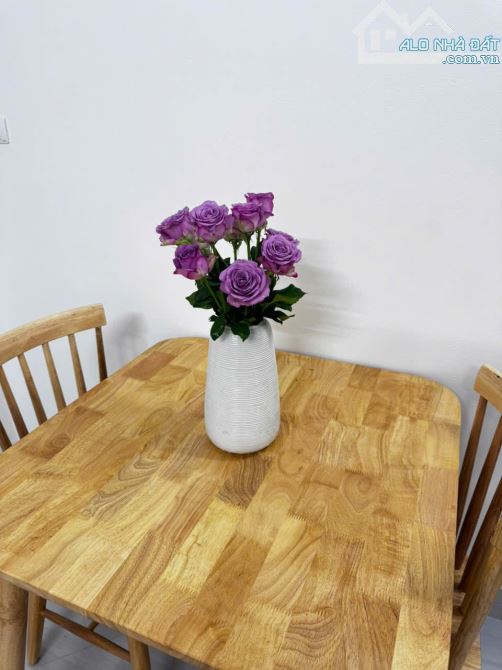 Cho Thuê CCMN 204 Trần Duy Hưng Cầu Giấy 30m2 Studio Gác Xép Ban Công Cửa Sổ Giặt Riêng TM - 19