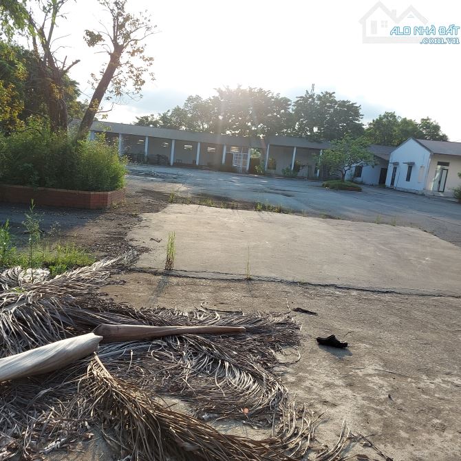 Bán đất dt 9000m² có văn phòng 5000m² vía 20 tỷ có gia lộc - 2