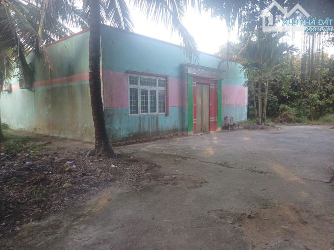 CẦN BÁN 1 LÔ ĐẤT VƯỜN 67C ĐẤT NGÂY NGÃ BA  GẦN CHỢ TRƯỜNG HỌC CÓ 3 CĂN NHÀ 1 PHÒNG KARAOKE - 4