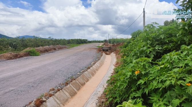 CHỈ CÒN 1 VÀI LÔ  Đường nhựa 10m trung tâm Liên Hiệp Đức Trọng - 2