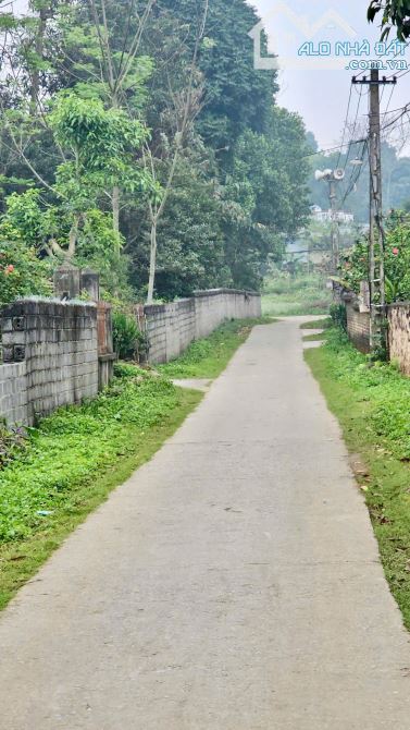 298m Có 50m Đất Ở - Khu Công Nghiệp Nhuận Trạch Lương Sơn - Mặt Tiền 8m Vuông Vắn - 2