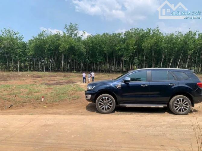 3sào đất đang trồng full cao su cách Dt753 chỉ 100m giá 4xx/sào - 2