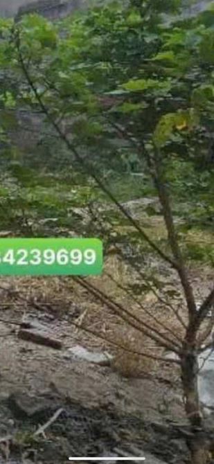 Bán nhà  c4 phố thanh am ô tô ngủ trong nhà ,lô góc thoáng sáng rất đẹp - 2