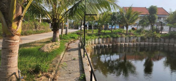 Nhà sẵn 2 tầng thuận tiện kinh doanh lưu trú, có hồ bơi, view dừa nước mát mẻ - 2