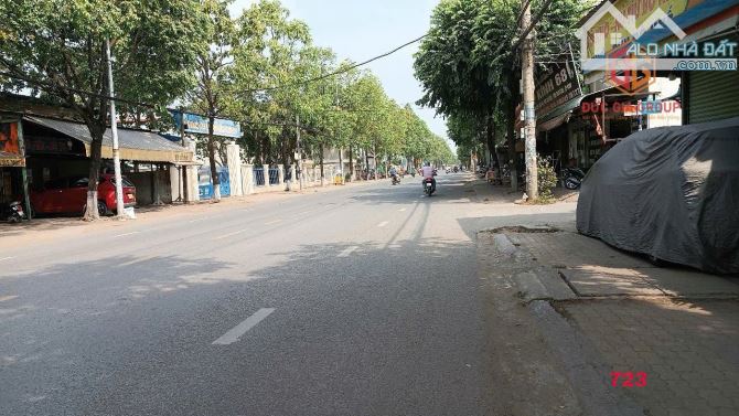 Bán 750m2 mặt tiền Bùi Hữu Nghĩa gần cầu Bửu Hòa, phường Tân Vạn - 2