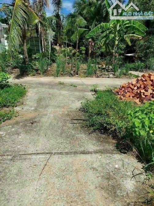 Bán đất nền Phú Hưng Thành phố Bến Tre 141m 255tr - 2
