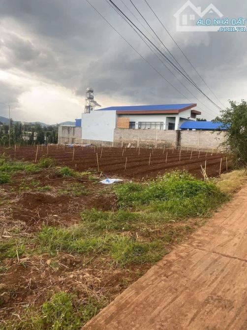 BÁN 483,5m2 ĐẤT XÃ LIÊN HIỆP - ĐỨC TRỌNG - LÂM ĐỒNG . - 2