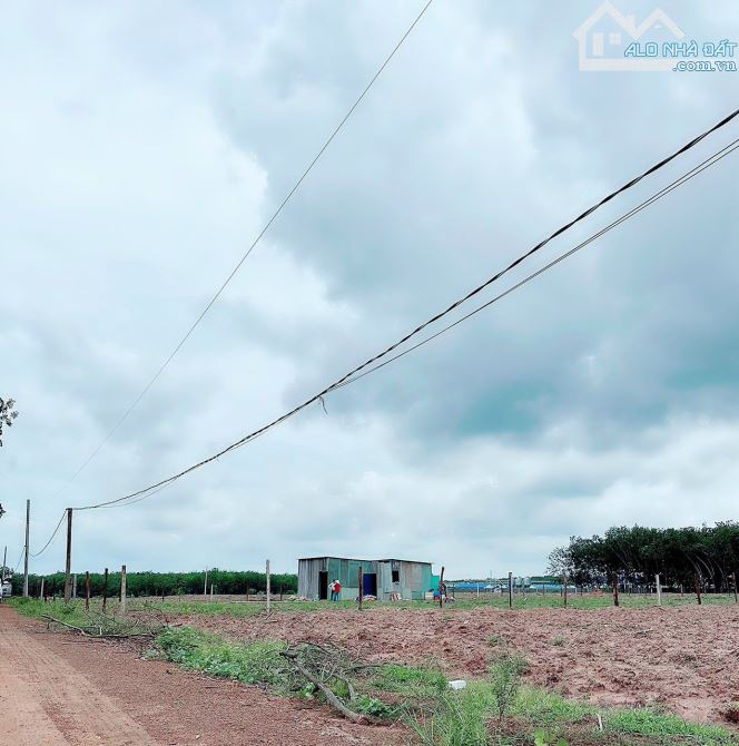 HÀNG NGỢP BÁN GẤP LÔ ĐẤT CHÍNH CHỦ ,DT 2000M2, GIÁ 450TR, SHR, SÁT QL13, GẦN CHỢ - 2