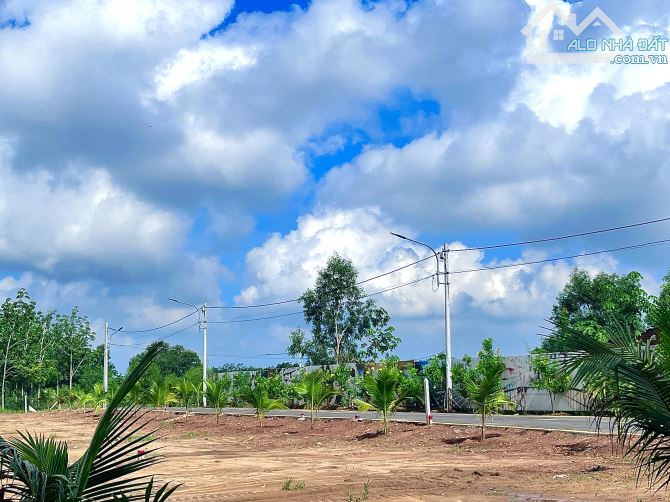 BÁN NHANH LÔ ĐẤT THỔ CƯ GIÁ RẺ – 200m² TẠI TÂN ĐỊNH, BẾN CÁT – VỊ TRÍ ĐẸP, SỔ RIÊNG, ĐẦU T - 2