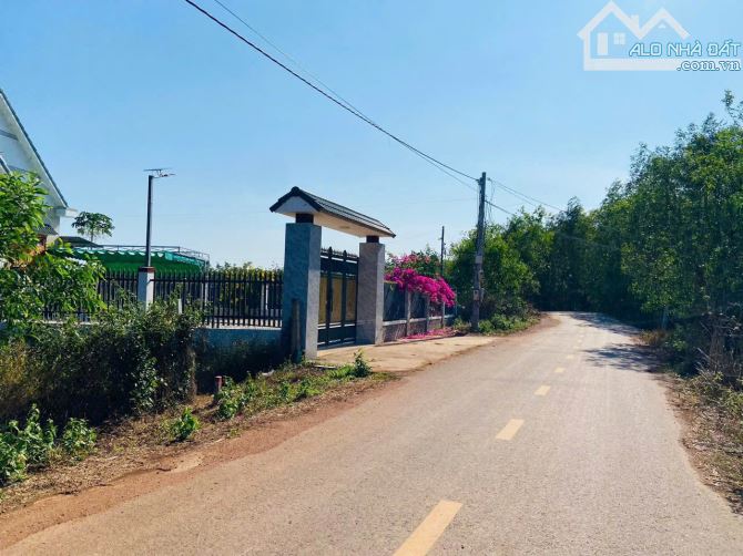 LÔ ĐẤT VƯỜN GIÁ RẺ GẦN BIỂN, LIỀN KỀ CAO TỐC, SẴN THỔ CƯ , LIỀN KỀ THỊ TRẤN PHƯỚC BỬU - 2