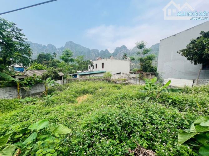 Cần bán 414m/100m thổ cư bám trục đường chính xã Liên Sơn, Lương Sơn, Hoà Bình - 2