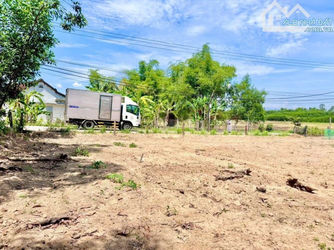 Bán 2 lô đất biệt thự nhà vườn, diện tích 400m2/lô, ngang 12m - Duy Hoà - 2