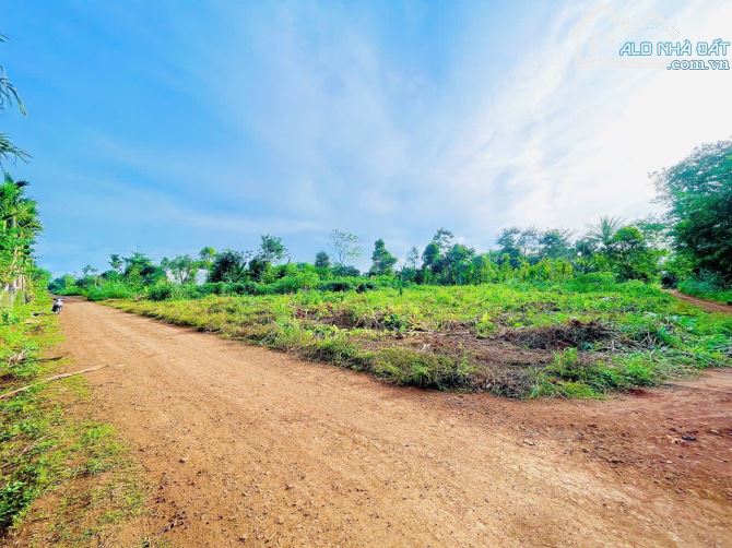 Đất Cuor Đăng hẻm C1 của Quốc Lộ 14 full thổ cư - 2