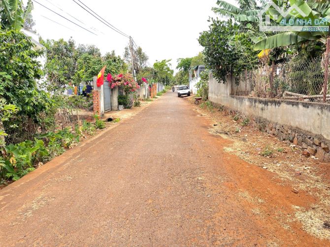 💥Đất 2 mặt tiền,TC 11*27m,Đường B3,Phạm Ngũ Lão thôn 6,gần Vành Đai, - 2