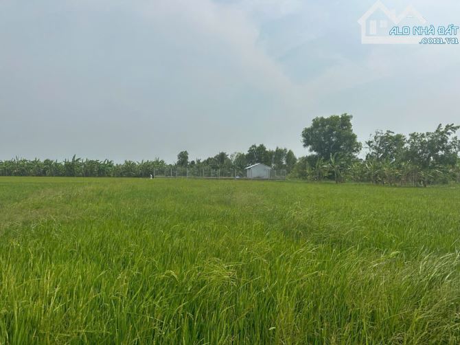 Bán Đất 60x20/25 Kênh 3, Phường 9, Sau Lưng Đại Học Trà Vinh - 2