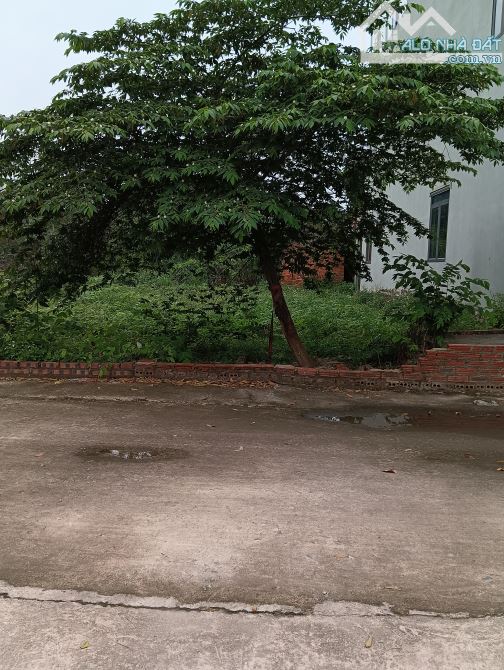 Bán Đất -Xã Hiền Ninh ( Sóc Sơn)- 89 M2 Bìa Làng - 3,1 Tỷ - 2