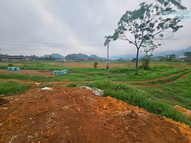 Mảnh đất siêu đẹp siêu hiếm tại Mộc Châu Sơn La phù hợp kinh doanh và đầu tư - 2