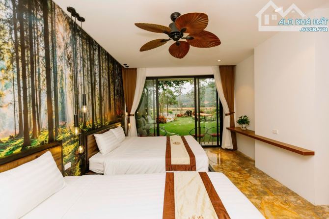 BIỆT THỰ FLAMINGO ĐẠI LẢI 250M/800m MT 15M DOANH THU 100TR/thang THIẾT KẾ HIỆN ĐẠI RẺ - 2