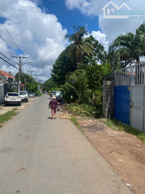 Biệt thự MT đường số 23, Tân Thông Hội, Củ Chi, ngay chợ Việt Kiều, 14x43m, 603m², 12.5 tỷ - 2