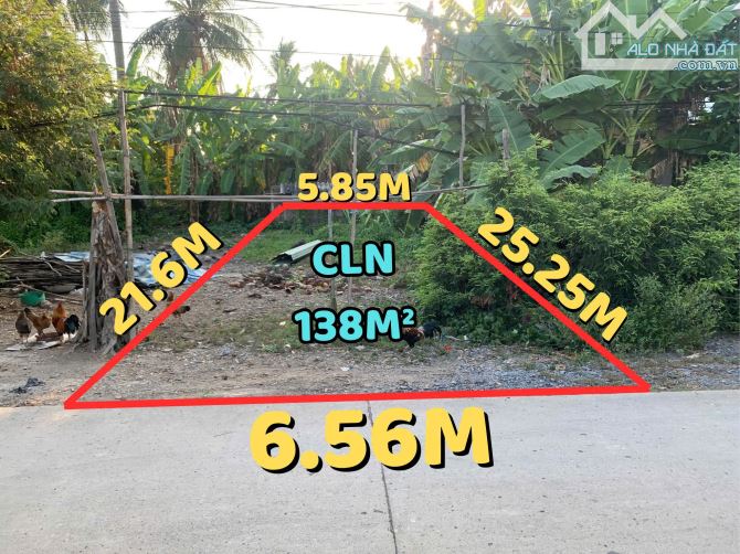Bán đất MT 832 cũ 12.9x24 giá 1tỷ1 Bình Trinh Đông Tân Trụ Long An - 2