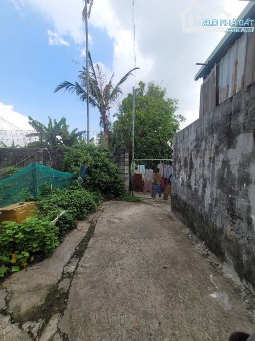 đất rẻ 1,95 tỷ 81.5m2 gần đường Nguyễn Thị Tươi đang mở rộng 200m - 2