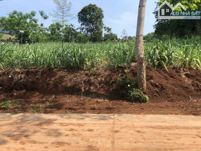 BĐS cắt lỗ!  Bán ô đất Xóm Lác, xã Nghĩa Lạc huyện Nghĩa Đàn, tỉnh Nghệ An - 2