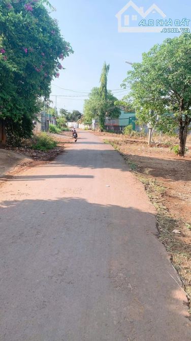 Đất mặt tiền đường nhựa ngay sau chợ Eakao và Bách Hoá Xanh - 2
