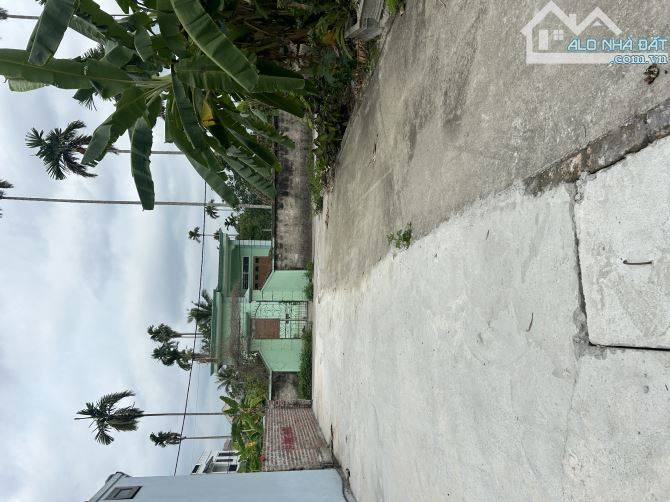 🎉🎉🎉 Lô đất vuông vắn tại thôn Hầu phường Hoàng Lâm ( Lâm Động cũ ) , ngay trục vào 30m - 2